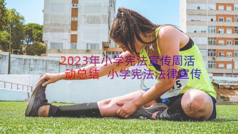 2023年小学宪法宣传周活动总结 小学宪法法律宣传月活动总结(大全5篇)