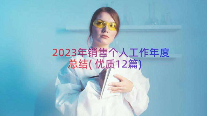 2023年销售个人工作年度总结(优质12篇)