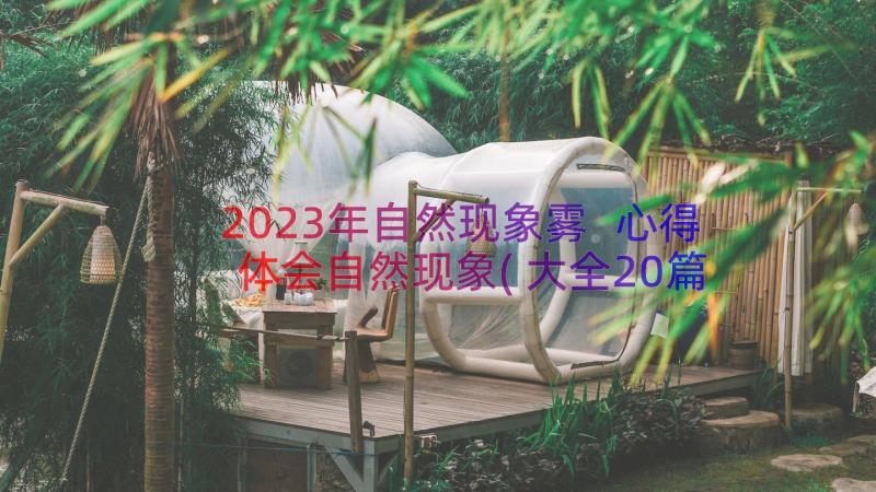 2023年自然现象雾 心得体会自然现象(大全20篇)