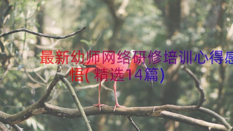 最新幼师网络研修培训心得感悟(精选14篇)