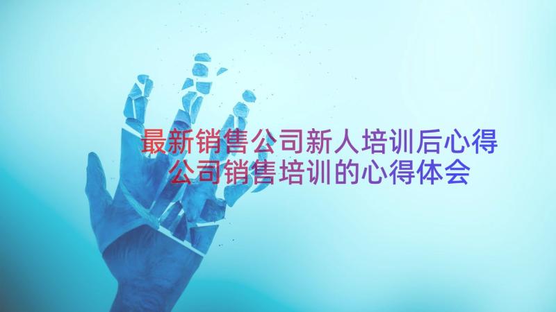 最新销售公司新人培训后心得 公司销售培训的心得体会(优质16篇)