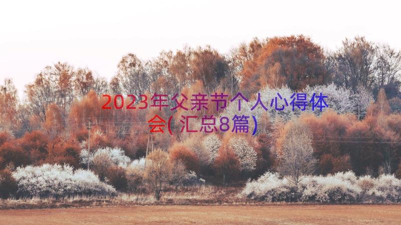 2023年父亲节个人心得体会(汇总8篇)