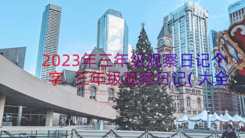 2023年三年级观察日记个字 三年级观察日记(大全14篇)