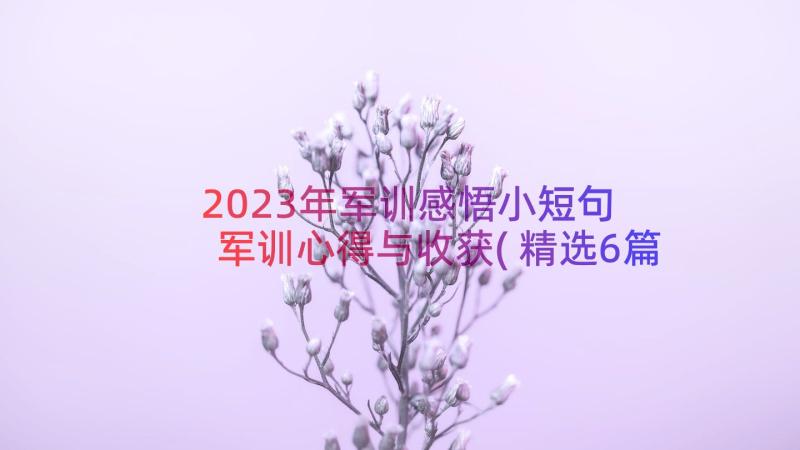 2023年军训感悟小短句 军训心得与收获(精选6篇)