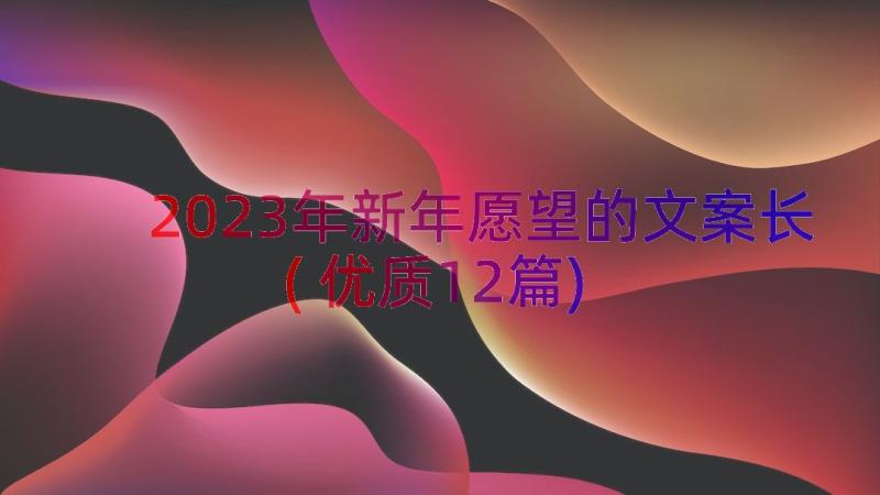 2023年新年愿望的文案长(优质12篇)