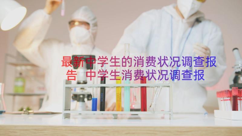 最新中学生的消费状况调查报告 中学生消费状况调查报告(优质8篇)