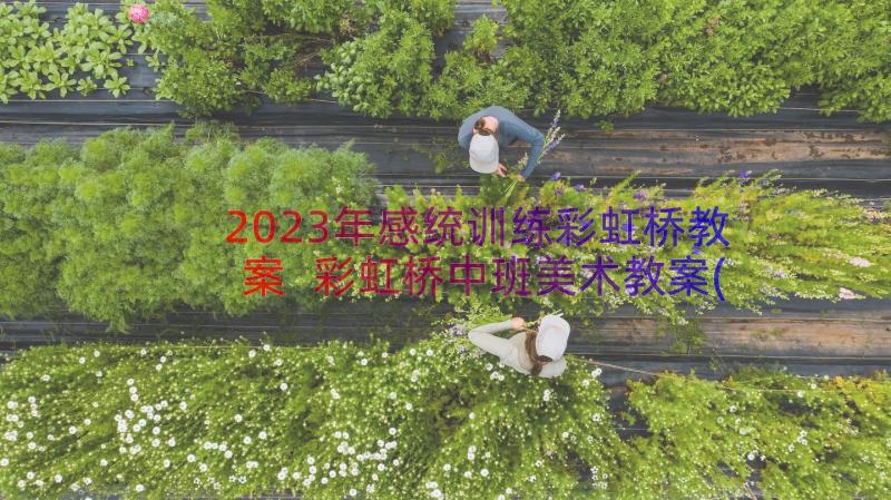 2023年感统训练彩虹桥教案 彩虹桥中班美术教案(大全8篇)