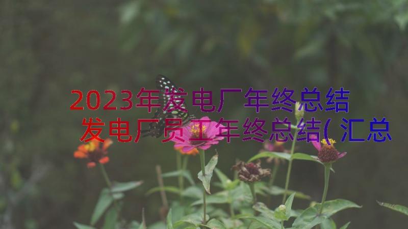 2023年发电厂年终总结 发电厂员工年终总结(汇总8篇)