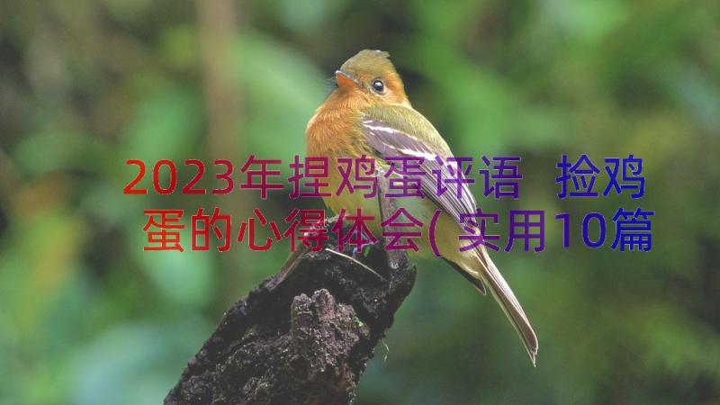 2023年捏鸡蛋评语 捡鸡蛋的心得体会(实用10篇)