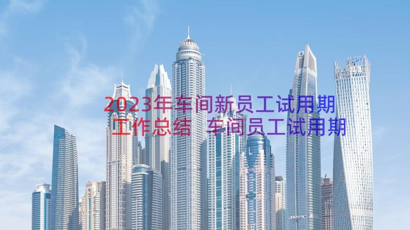 2023年车间新员工试用期工作总结 车间员工试用期工作总结(优秀8篇)