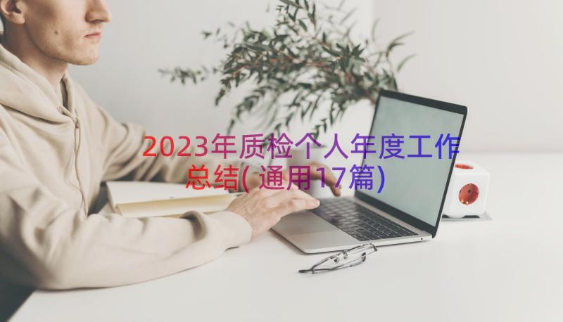 2023年质检个人年度工作总结(通用17篇)