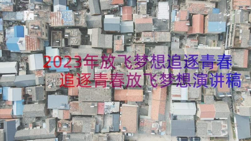 2023年放飞梦想追逐青春 追逐青春放飞梦想演讲稿(精选8篇)