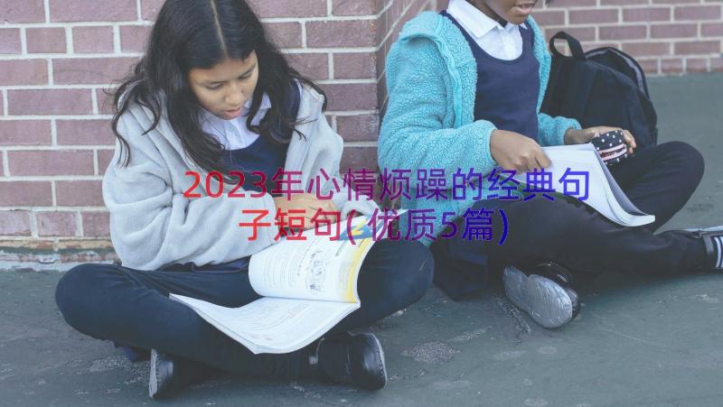 2023年心情烦躁的经典句子短句(优质5篇)