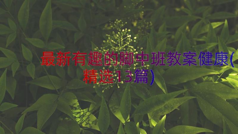 最新有趣的脚中班教案健康(精选13篇)