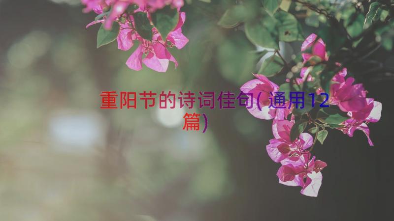 重阳节的诗词佳句(通用12篇)