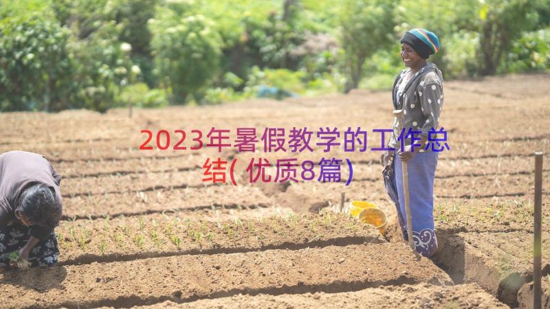 2023年暑假教学的工作总结(优质8篇)