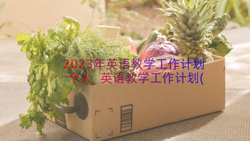 2023年英语教学工作计划个人 英语教学工作计划(汇总16篇)