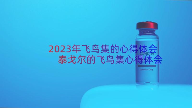 2023年飞鸟集的心得体会 泰戈尔的飞鸟集心得体会(精选19篇)