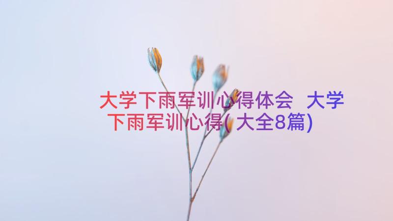 大学下雨军训心得体会 大学下雨军训心得(大全8篇)