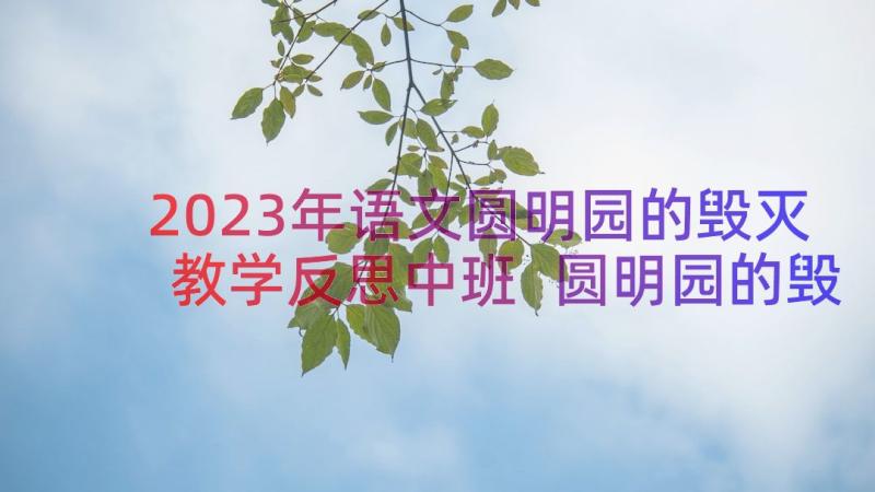 2023年语文圆明园的毁灭教学反思中班 圆明园的毁灭语文教学反思(汇总8篇)