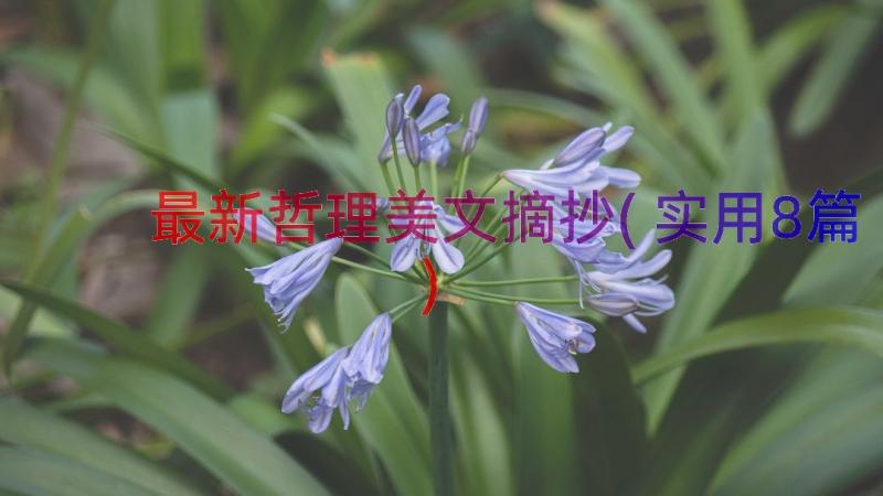 最新哲理美文摘抄(实用8篇)