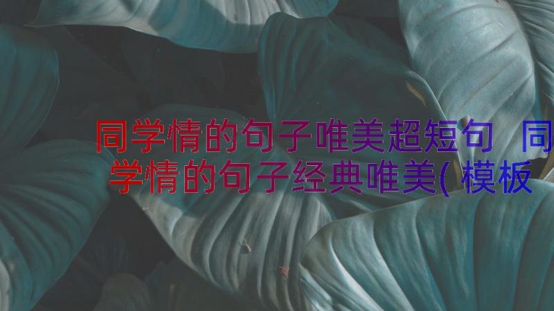 同学情的句子唯美超短句 同学情的句子经典唯美(模板8篇)