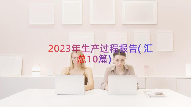 2023年生产过程报告(汇总10篇)