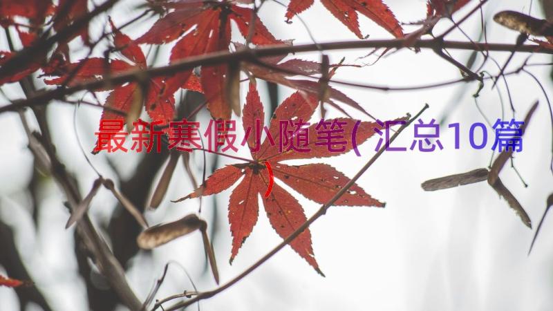 最新寒假小随笔(汇总10篇)