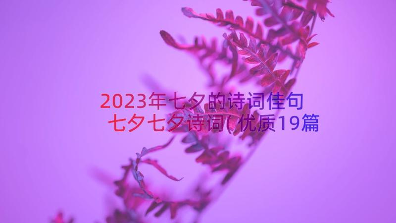 2023年七夕的诗词佳句 七夕七夕诗词(优质19篇)