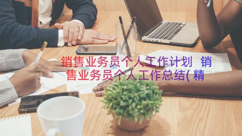 销售业务员个人工作计划 销售业务员个人工作总结(精选16篇)