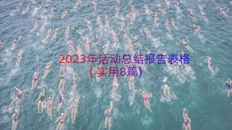 2023年活动总结报告表格(实用8篇)