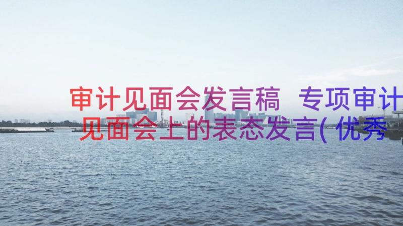 审计见面会发言稿 专项审计见面会上的表态发言(优秀5篇)