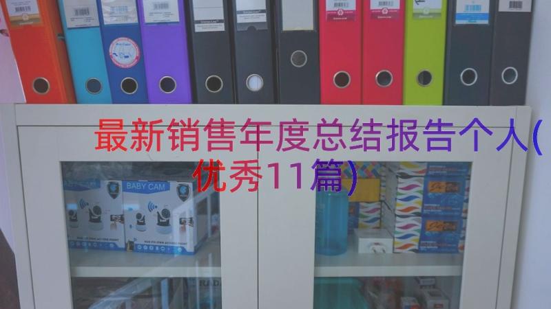 最新销售年度总结报告个人(优秀11篇)