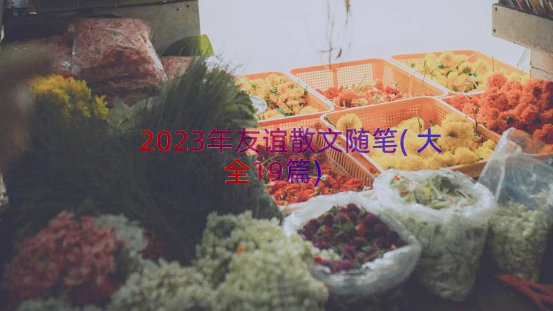 2023年友谊散文随笔(大全19篇)