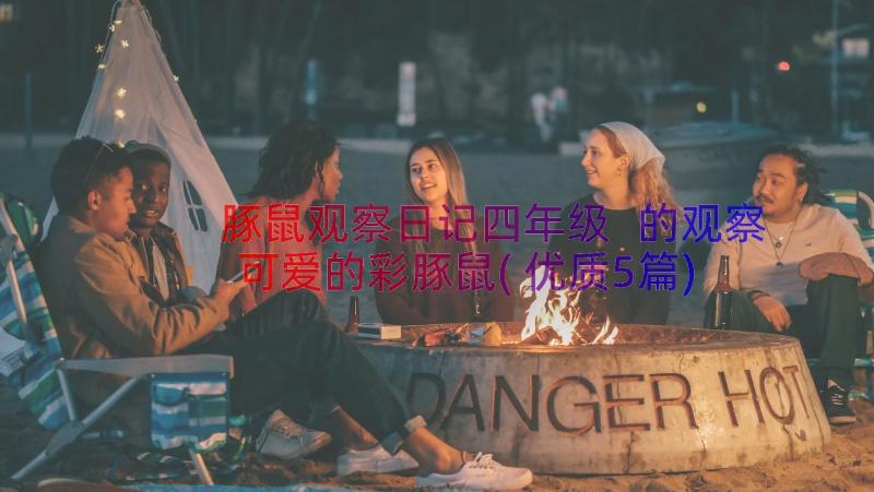 豚鼠观察日记四年级 的观察可爱的彩豚鼠(优质5篇)