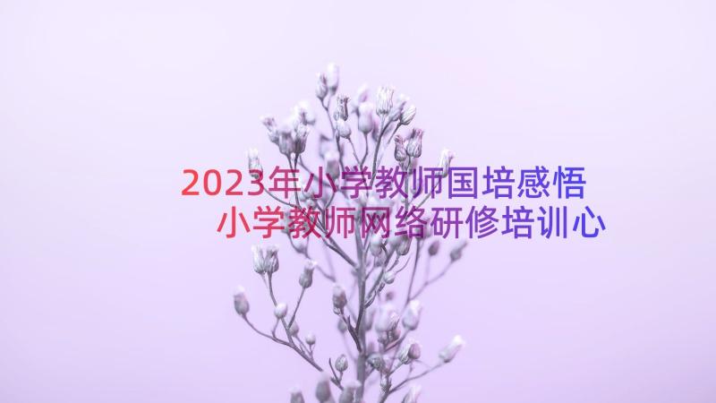 2023年小学教师国培感悟 小学教师网络研修培训心得体会(实用8篇)