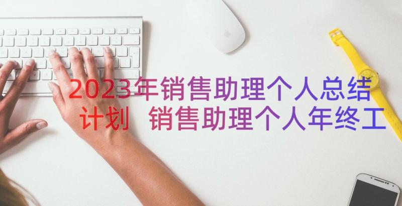 2023年销售助理个人总结计划 销售助理个人年终工作总结(模板20篇)