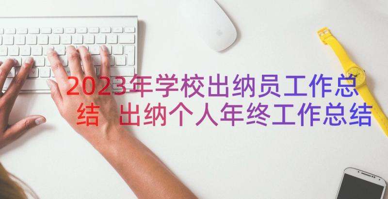 2023年学校出纳员工作总结 出纳个人年终工作总结(模板10篇)