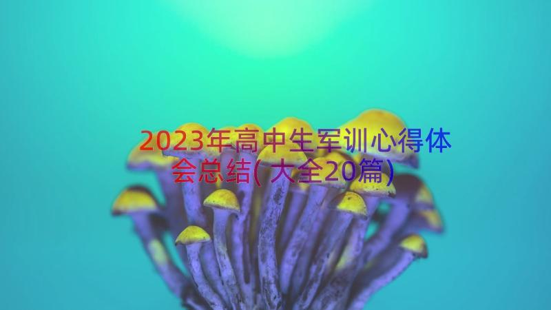 2023年高中生军训心得体会总结(大全20篇)