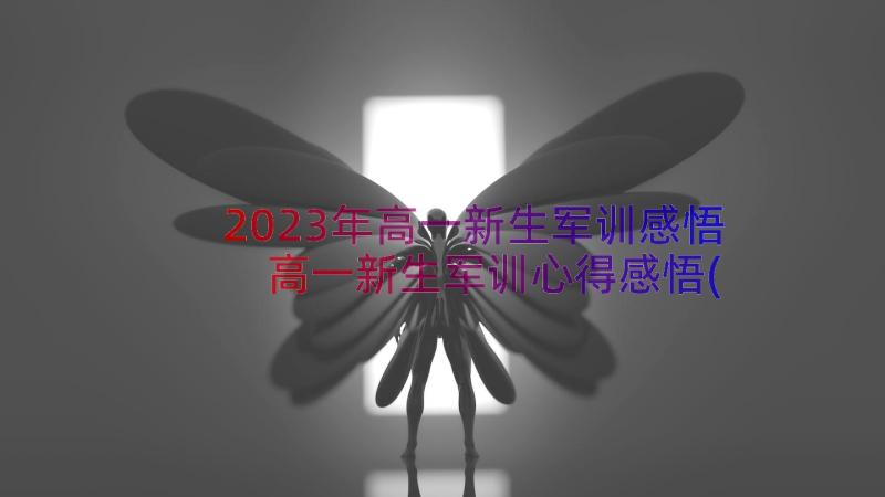 2023年高一新生军训感悟 高一新生军训心得感悟(通用17篇)