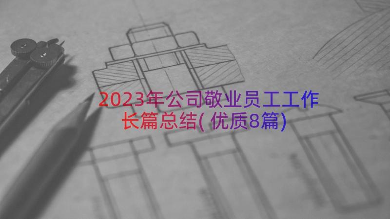 2023年公司敬业员工工作长篇总结(优质8篇)