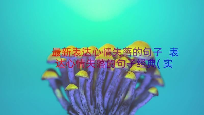 最新表达心情失落的句子 表达心情失落的句子经典(实用8篇)