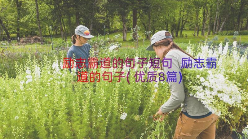 励志霸道的句子短句 励志霸道的句子(优质8篇)