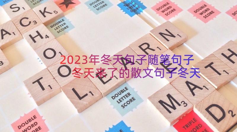 2023年冬天句子随笔句子 冬天来了的散文句子冬天来了的散文随笔(优质8篇)