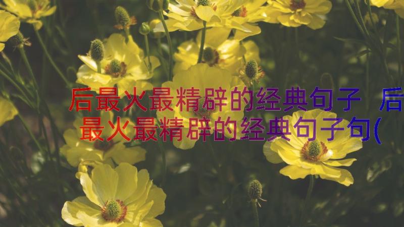 后最火最精辟的经典句子 后最火最精辟的经典句子句(汇总8篇)