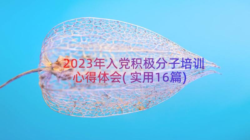 2023年入党积极分子培训心得体会(实用16篇)