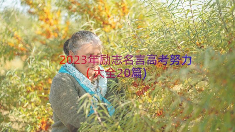 2023年励志名言高考努力(大全20篇)