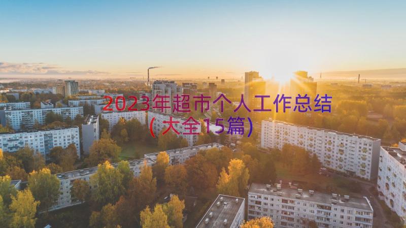 2023年超市个人工作总结(大全15篇)