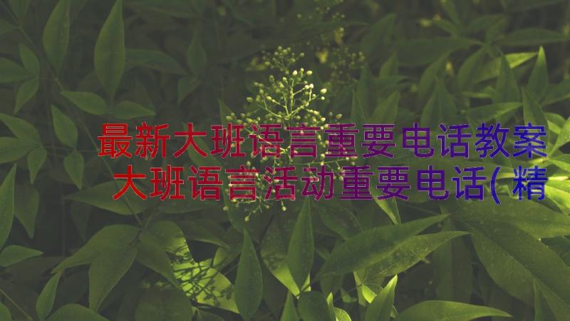 最新大班语言重要电话教案 大班语言活动重要电话(精选8篇)