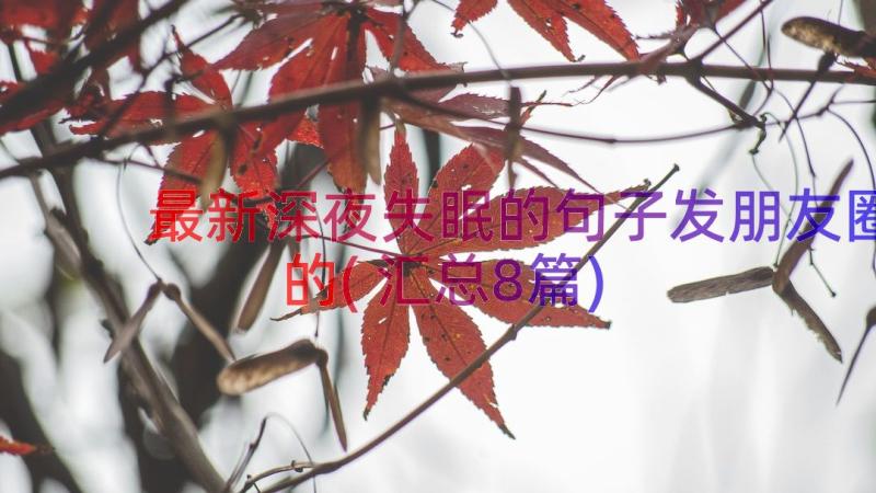 最新深夜失眠的句子发朋友圈的(汇总8篇)